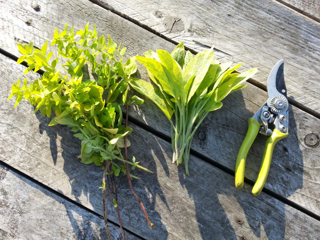 The Concrete Garden Concrete Garden